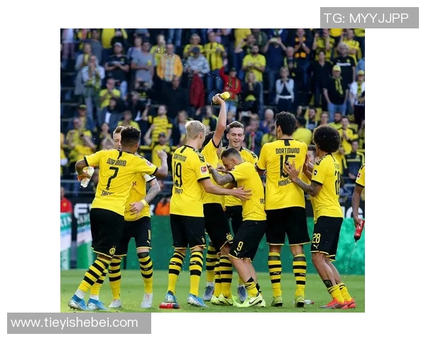 德甲激战：多特蒙德逆转里昂全场沸腾精彩瞬间回顾